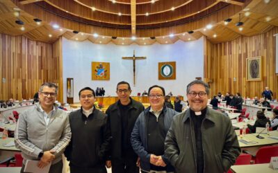 Servidores de la Sinodalidad, Secretarios de comisiones y dimensiones